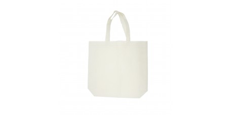 Non-Woven Bag 12